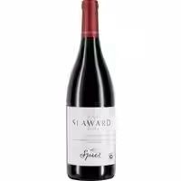 Spier Seaward Shiraz