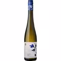 Stein Grüner Veltliner