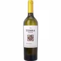 Terra D'Alter Reserva Branco