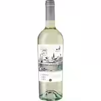 Terra & Vitigno Pinot Grigio