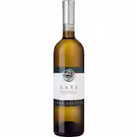 Terra dei Celti Gavi