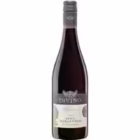 Terroir Escherndorfer Fürstenberg Spätburgunder