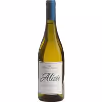 Theresa Eccher Alizée Etna Bianco