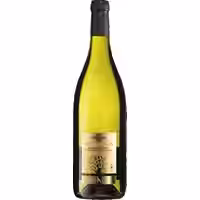 Verdicchio dei Castelli di Jesi Classico