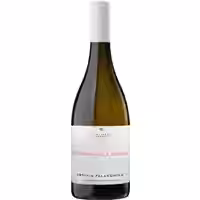 Vinosia Fontana della Loggia Falanghina