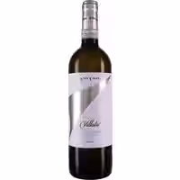 Vite Colte Roero Arneis Villata