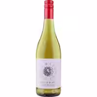 Waterkloof Circumstance Chenin Blanc