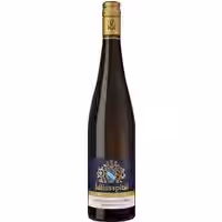 Würzburger Stein-Berg Riesling GG